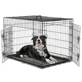 Photo 1 of **NO BOX***EDX Medium Dog Crate with Divider Panel, 36" Double Door Folding Metal Wire Dog Cage with Plastic Leak-Proof Pan Tray