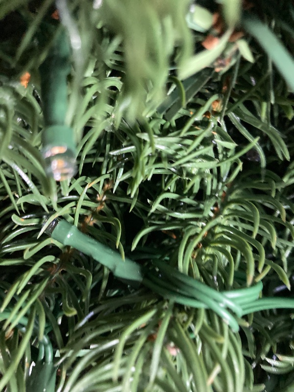 Photo 1 of ***BATTERY OPERATED***Nearly Natural 4ft. Flat Back Wall Hanging Artificial Christmas Tree with 50 Clear LED Lights***BATTERY OPERATED***