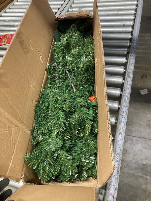 Photo 1 of Green Christmas Tree. Christmas tree heeces of branch tips enhance ss of the r