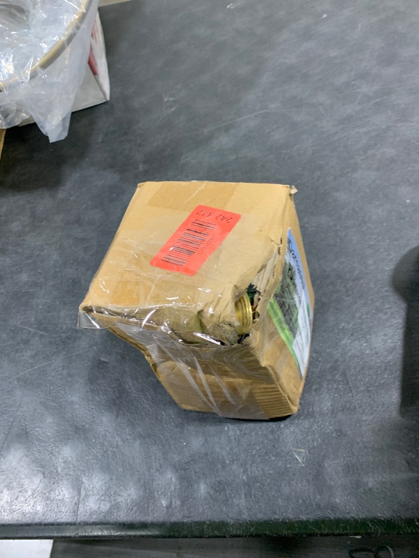 Photo 1 of Darnassus Garden Hose,10 Feet Green PU Curly Water Hose with Brass Connectors,Watering Hose Coil,Retractable,Corrosion Resistant Garden Coil Hose