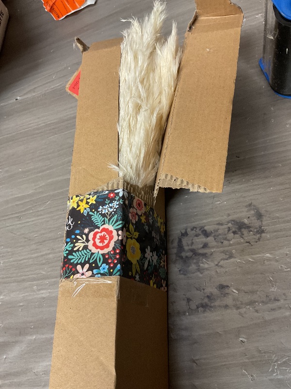 Photo 1 of 40PCS White Pampas Grass for Home Decor - Elegant Boho Decor - Premium Quality Pampas Grass Stems - Perfect for House, Nursery, Western, Wedding, Table, and Bohemian Decor