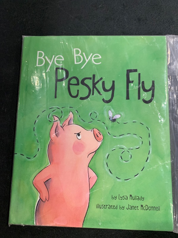 Photo 1 of Bye Bye Pesky Fly