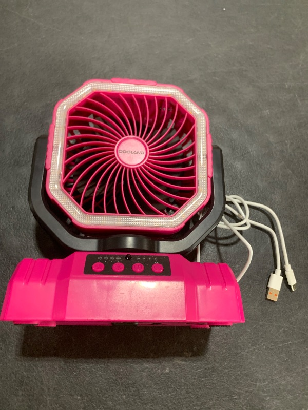 Photo 1 of PINK FAN