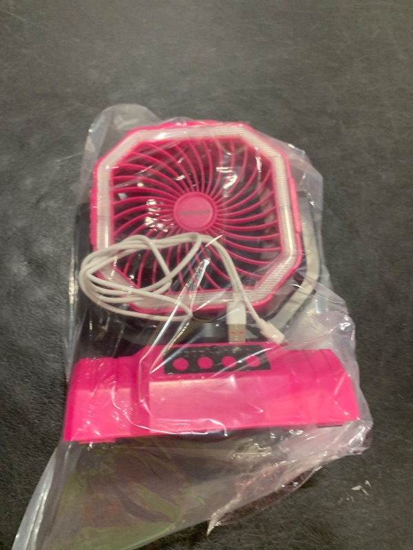 Photo 1 of PINK FAN