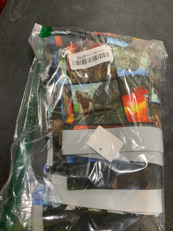 Photo 1 of Bioworld Jurassic World Dinosaurs Multipack Boys Underwear, Boxer Briefs-Size-10/12 Multicolored