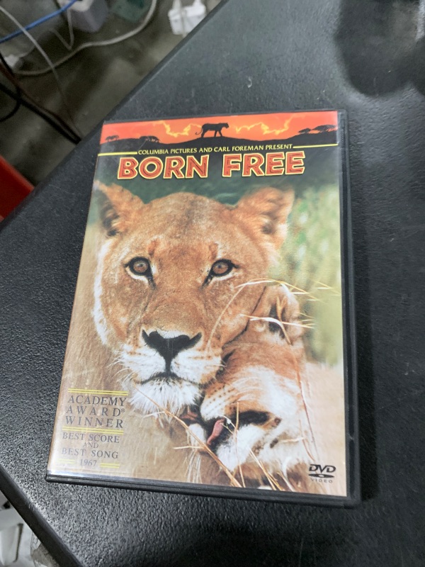 Photo 1 of Born Free