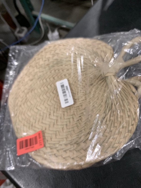 Photo 1 of Beistle 3Piece Raffia Fans, Natural
