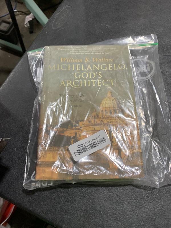Photo 1 of Michelangelo, God's Architect: The Story of His Final Years and Greatest Masterpiece