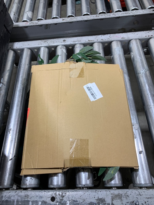 Photo 1 of LEAF DECOR