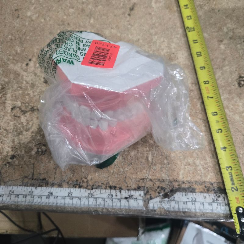 Photo 1 of 1.5 Times Large Dental Typodont Model Tooth Brushing flossing Practice Model Demonstration Removable Lower Teeth for Kids Dental Students Tooth Teach Study, 4.5 Inch x3.5 Inch x3.5 Inch