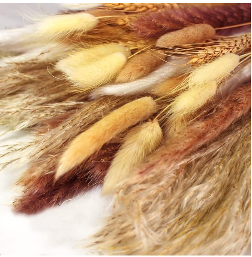 Photo 1 of ***MAY NOT BE 100PCS*** EliSmart Dried Pampas Grass Decor, 100 Pcs Pampas Grass Including White & Natural Pampas Grass Dried Flowers, Reed Grass Bouquet, Bunny Tails, Wheat Stalks for Wedding Boho Home Party Decor, 17.5 Inch