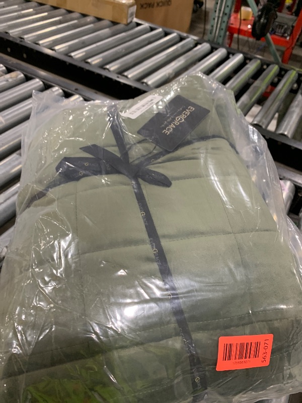 Photo 1 of EVERGRACE Pearl Velvet Quilt Set Full Queen Size, Luxurious Soft Velvet Comforter, Lightweight Oversized Bedspread Coverlet, Box Stitch Quilted Bedding Sets for All Season, w/ 2 Shams, Olive Green