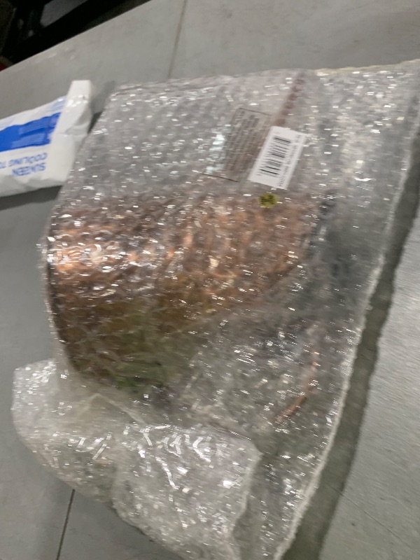 Photo 1 of Achla Designs Dainty Hammered Copper Watering Can, 3 Pint