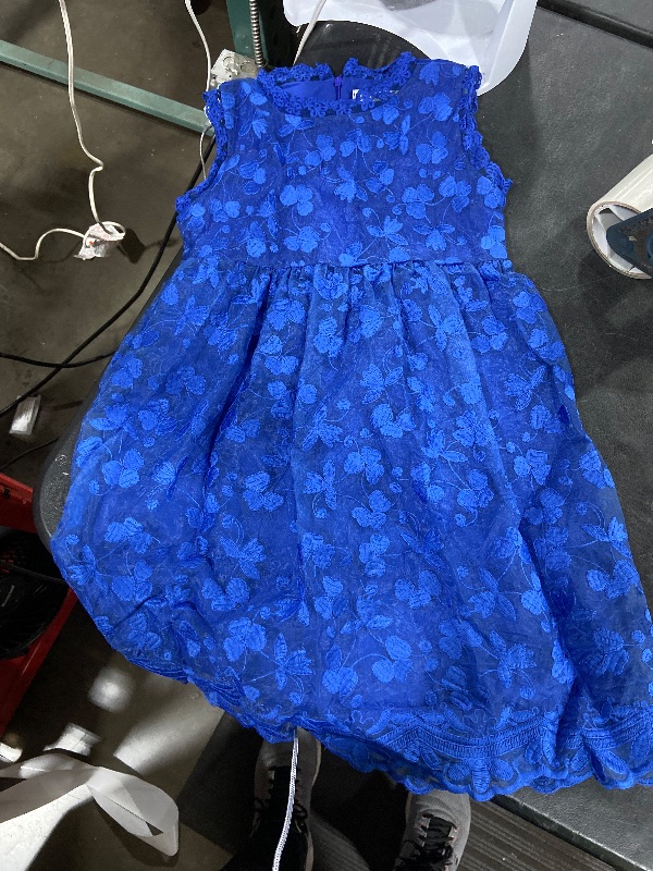 Photo 1 of Toddler Girl floral pattern dress, unknown size, blue in color