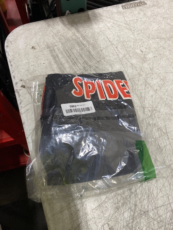 Photo 1 of Marvel Spider-Man Boys Short Sleeve T-Shirt and Shorts Set for Big Kids