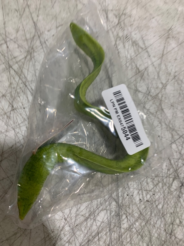Photo 1 of Safari Ltd. Moray Eel Figurine - Detailed 9" Plastic Model Figure - Fun Educational Play Toy for Boys, Girls & Kids Ages 18M+