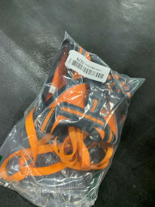 Photo 1 of rabbitgoo Cat Harness and Leash Set for Walking Escape Proof, Adjustable Soft Kittens Vest with Reflective Strip for Cats, Comfortable Outdoor Vest,Light Orange,M