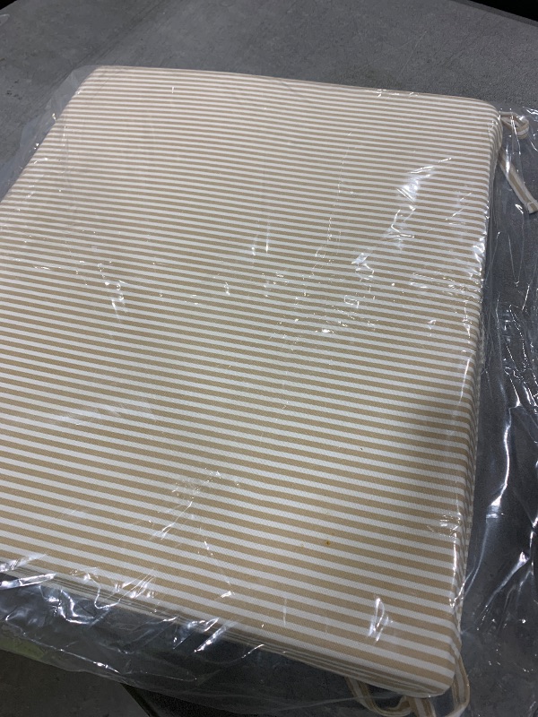 Photo 1 of 1 Cushion 