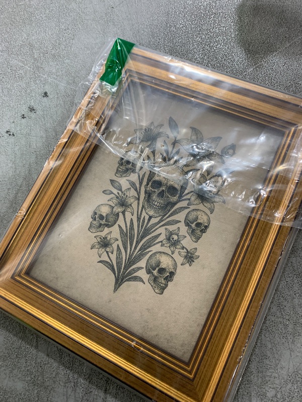 Photo 1 of InSimSea Framed Canvas Prints Art Vintage Decor, Gothic Skull Flowers Painting, Rustic Dark Academia Wall Art for Bathroom, Halloween Living Room Witchy Room Wall Cottagecore Decor, 12x16inch