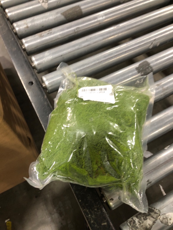 Photo 1 of Aspamms Fake Green Moss for Potted Plants Indoor, 5.3oz Artificial Moss for Crafts, Faux Moss Decor for Fairy Garden, DIY Decorative, Model Making, Walls, Glass Containers, Home