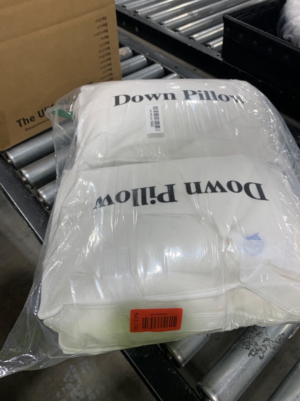 Photo 1 of LIANLAM Luxury Canadian White Goose Down Pillow Set of 2 -(2 Pack, 20"x39")