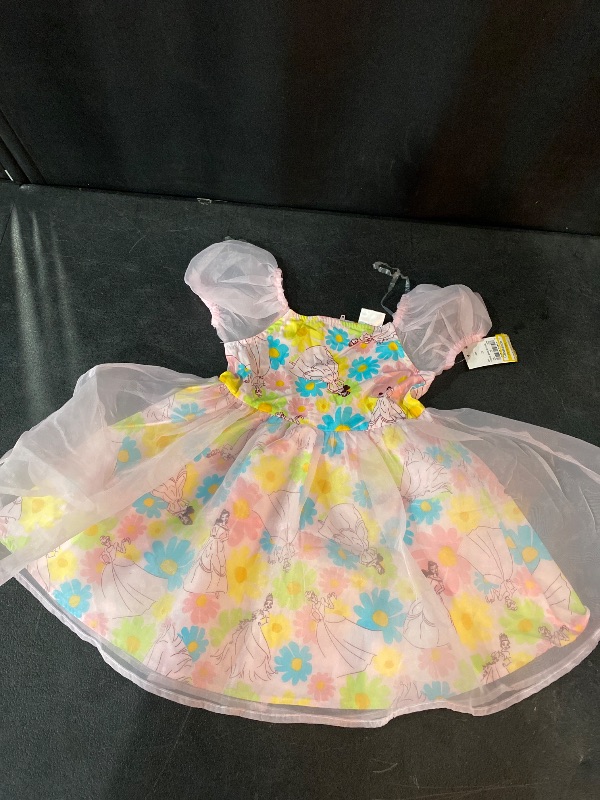 Photo 1 of 2T Toddler Girls' Disney Princess Floral Tulle Dress Light Blue 