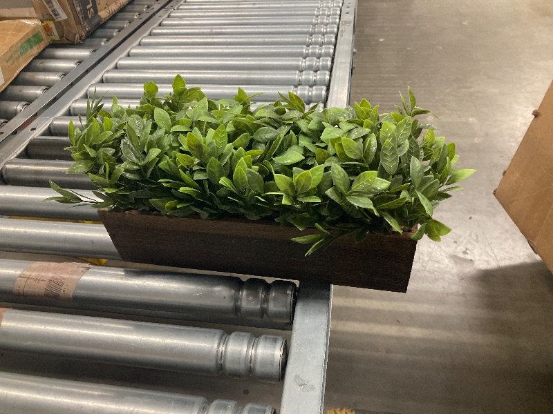 Photo 1 of 
***Factory seal***

Winlyn 14" Artificial Boxwood Plants in Rectangular Wood Planter Farmhouse Greenery Arrangement Centerpiece Faux Potted Herb Plant for Wedding Dining Room Table Kitchen Windowsill Mantel Shelf Décor