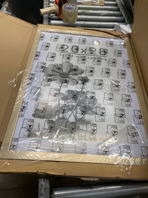 Photo 1 of ***It is used and has a small mouse.***MCS Foundation 20x28 Poster Frame Traditional Brass, Vertical & Horizontal Wall Hanging Large Picture Frame for Photos, Posters & Art Prints (1-Pack)