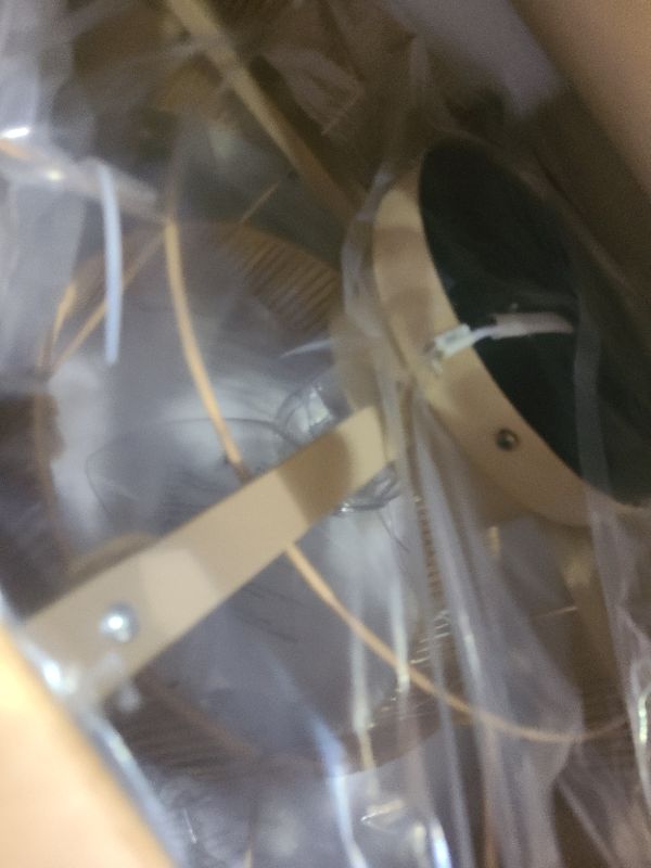 Photo 1 of 20 Inch Boho Caged Ceiling Fans with Lights Flush Mount, Layered Rattan Ceiling Fan with Light Remote Control with Reversible 6 Speeds for Bedroom, Nursery, Living Room, E12 Base, Indoor