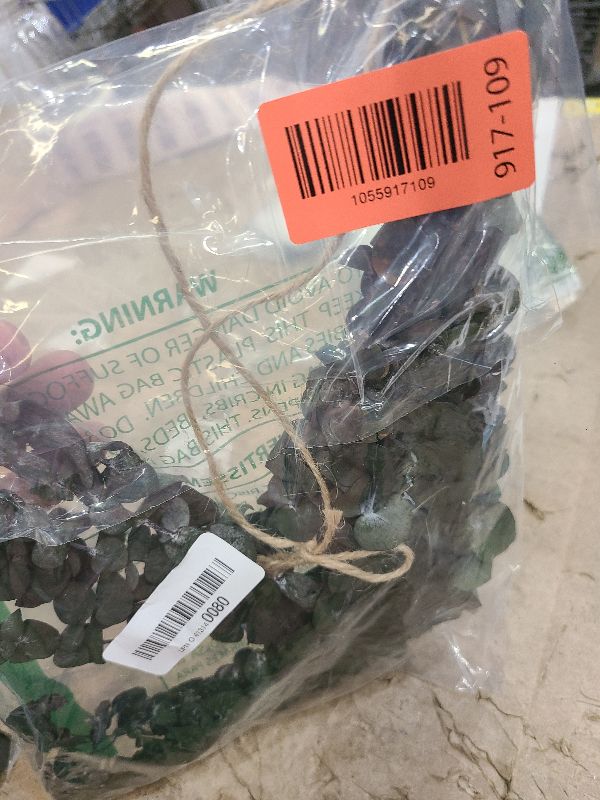 Photo 1 of 12 PCS Dried Eucalyptus Stems for Shower - 17" Preserved Eucalyptus Stems Shower Plant, Fresh Real Eucalyptus Leaves for Shower Hanging, Home Decor, Dried Flowers