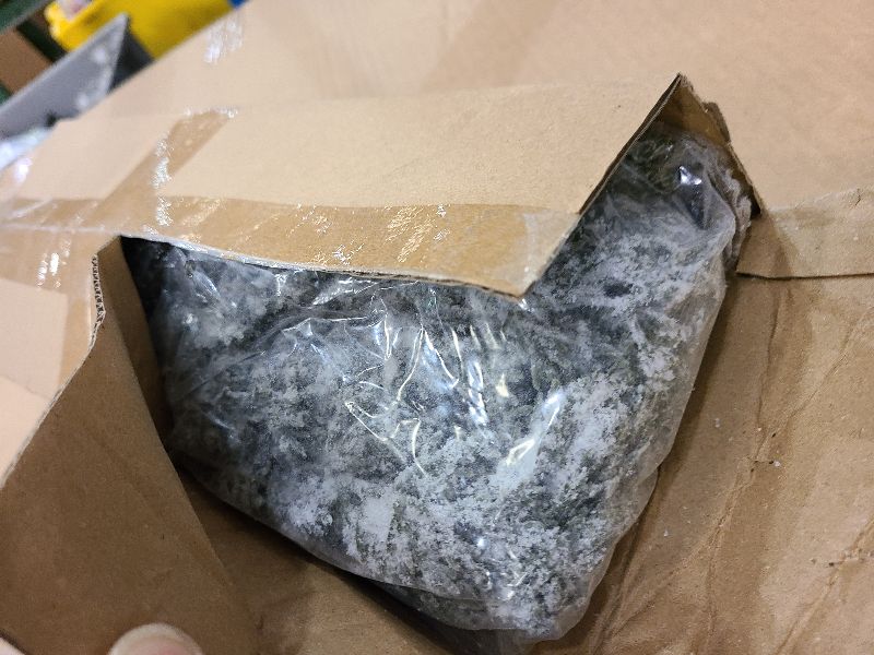 Photo 1 of 10 Packs 16.5" Artificial Christmas Snow Pine Branches, Snow Flocked Faux Greenery Norfolk Pine Sprigs Cypress Stems, White Frosted Fake Foliage Pine Needle Picks for DIY Craft Garland Home Decor