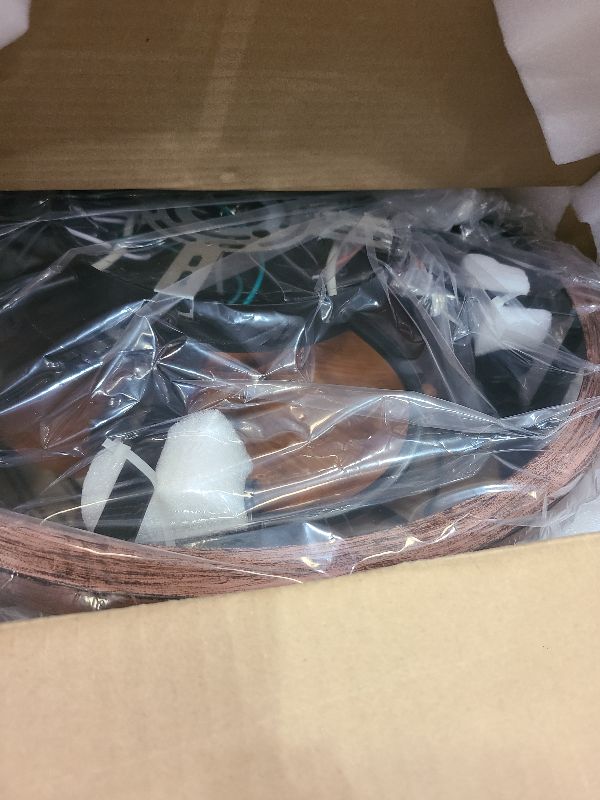 Photo 1 of 19'' Caged Ceiling Fans with Lights and Remote