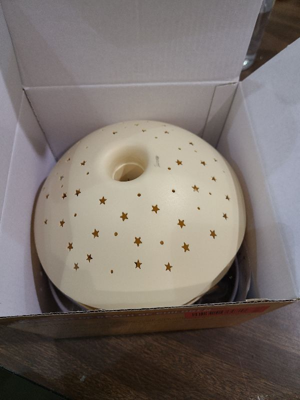 Photo 1 of 2 Packs Flea Traps for Inside Your Home, with 12 Sticky Discs & 4 LED Bulbs, Friendly to Pets& Kids, Indoor Bed Bug Flea Light Trap Pest Control for Home