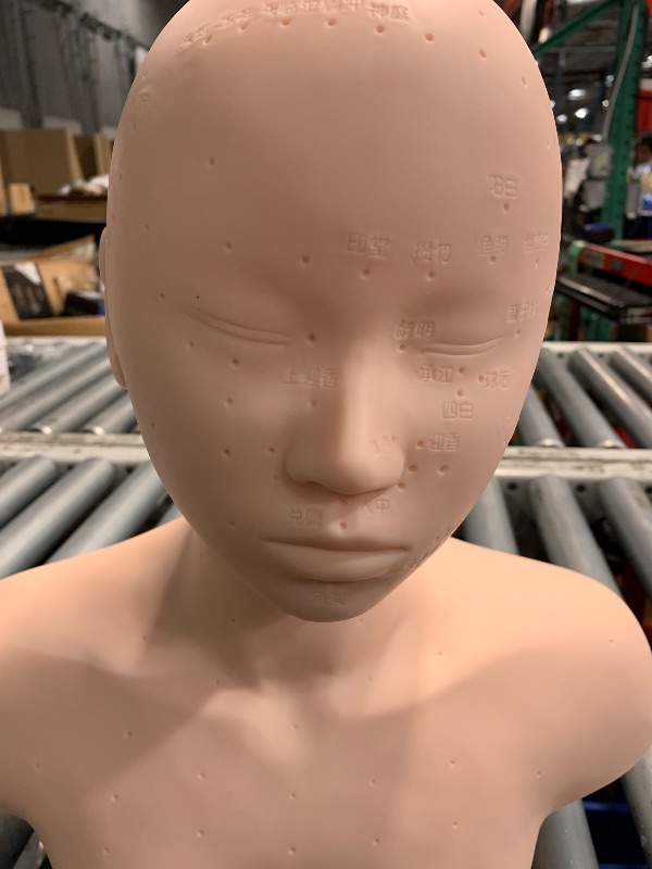 Photo 1 of (see all images) Esthetics Mannequin Head with Shoulders, Cosmetology Mannequin Head with Acupuncture Points, Soft PVC Mannequin Head 