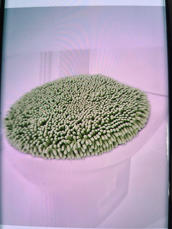 Photo 1 of )
Soft Chenille Toilet Lid Cover 19.5L x 18.5W Machine Washable Toilet Seat Cover Adjustable Rubber Backing Fits Most Round Elongated and Oblong Lids
