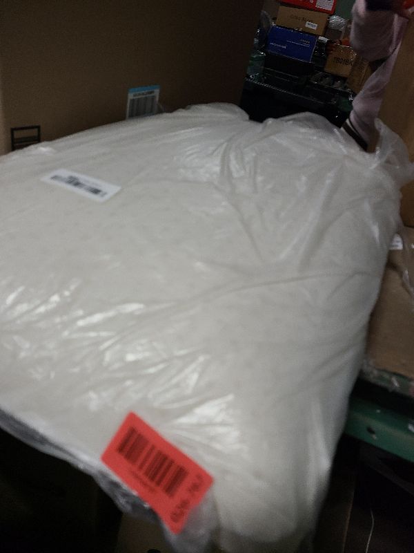 Photo 1 of 100% Natural Talalay Latex Pillow for Sleeping with Removable Cotton Cover, Premium Soft Bed Pillow Helps Relieve Pain and Pressure, Suitable for Side Back or Stomach Sleepers (Queen (Medium))