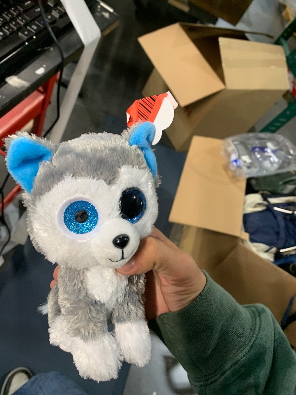 Photo 1 of ***EYEBALL MISSING***Slush - Dog Reg