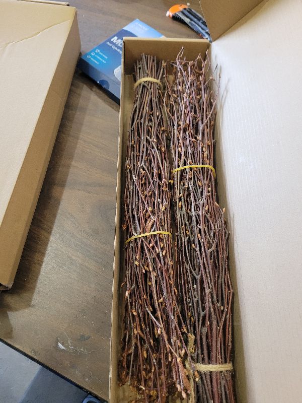 Photo 1 of 17 Inch Natural Birch Branches Dried Birch Twigs Wreath Making Supplies Dried Plants for Rustic Home Decor Easter Stems Vase Filler DIY Crafts Vases Tall Wreath Christmas Decoration Wedding (100Pcs)