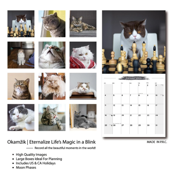 Photo 1 of Wall Calendar 2026 Planner - Cat Memes Hangable Monthly