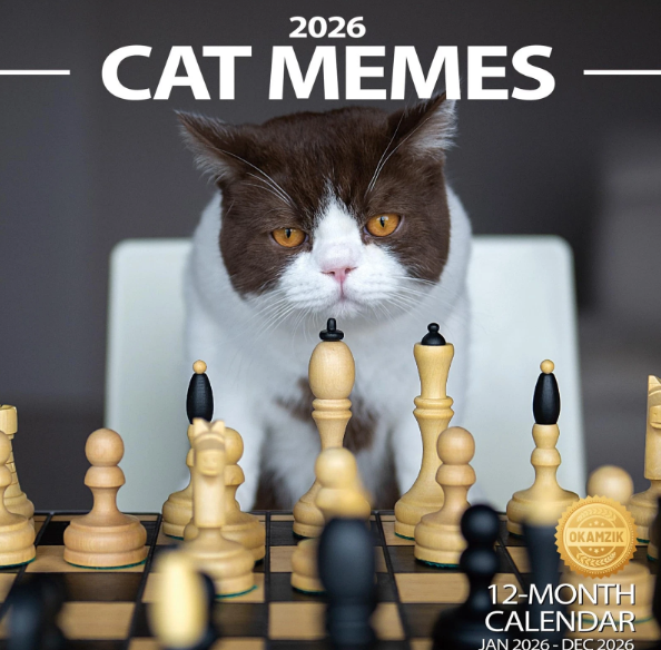 Photo 1 of Wall Calendar 2026 Planner - Cat Memes Hangable Monthly