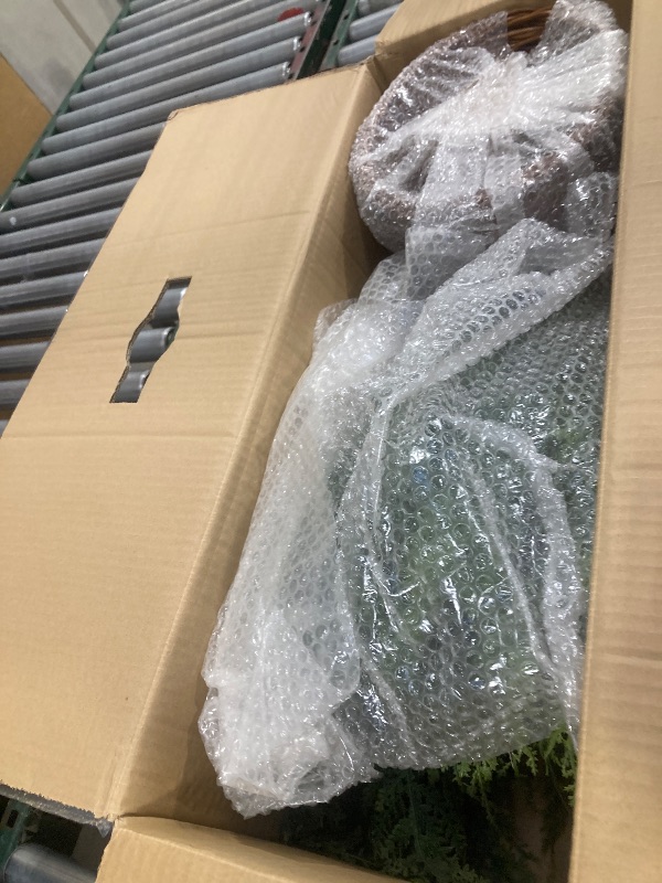 Photo 1 of 4' Pre-Lit Green Cypress Artificial Christmas Potted Tree with 100 Warm White Twinkle LED Lights, by My Texas House
