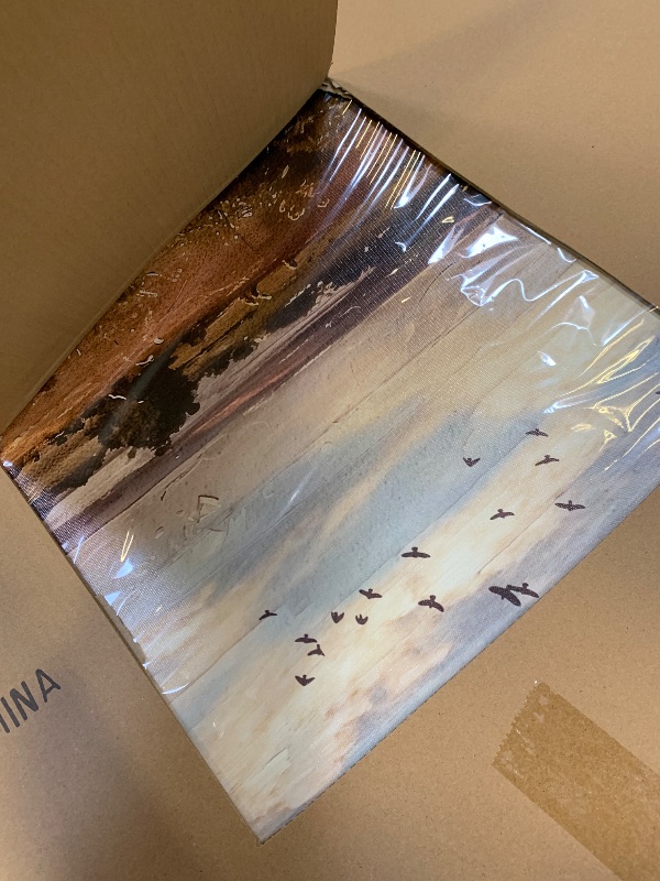 Photo 1 of (Unknown Details) Large Wall Art