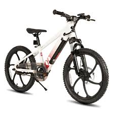 Photo 1 of Electric Bike for Teenagers, Ages 7+ with 250W Brushless Motor, 15 Miles 15MPH Electric Mountain Bicycle with Removable Battery, Multiple Colors