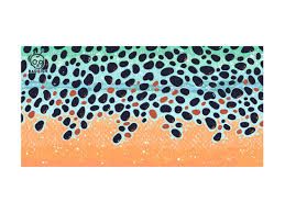 Photo 1 of 30”x60” Badfish Boat Towel