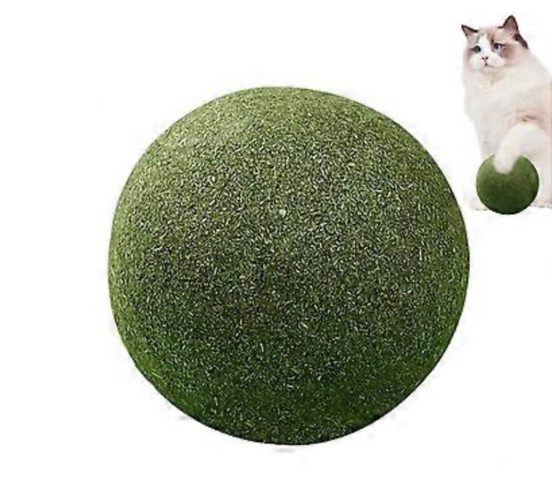 Photo 1 of 10 Pack Catnip Toy Balls Interactive Cat Ball for Indoor and Outdoor Kitten and Cats