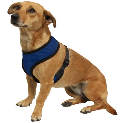 Photo 1 of (S) Paws & Pals Control Dog & Cat Harness, Blue, Small
