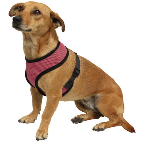 Photo 1 of (M) Paws & Pals Pet Control Harness for Dog & Cat Easy Soft Walking Collar
