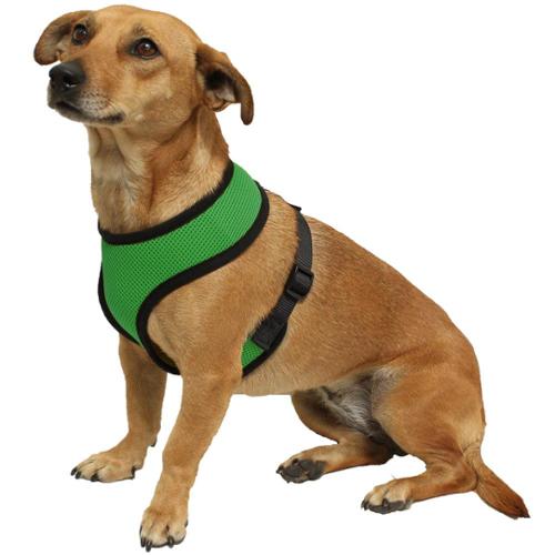 Photo 1 of (M) Paws & Pals Pet Control Harness for Dog & Cat Easy Soft Walking Collar, M