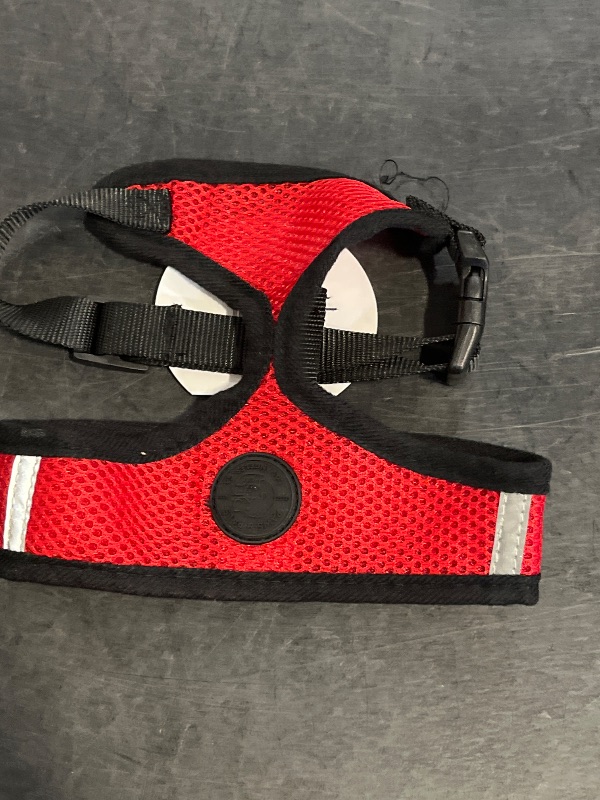 Photo 1 of (M) Paws & Pals Pet Control Harness for Dog & Cat Easy Soft Walking Collar