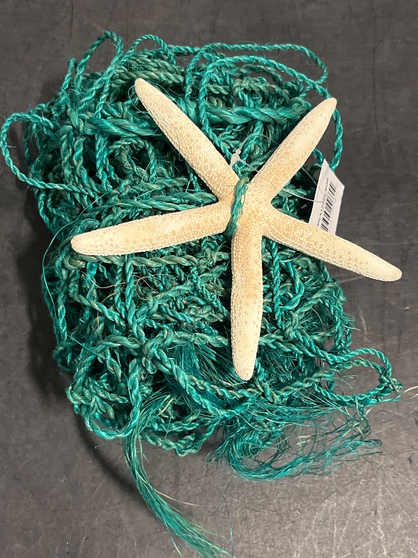 Photo 1 of Fancy That Gift & Decor Collectibles and Figurines - Green Shell Netting Decor